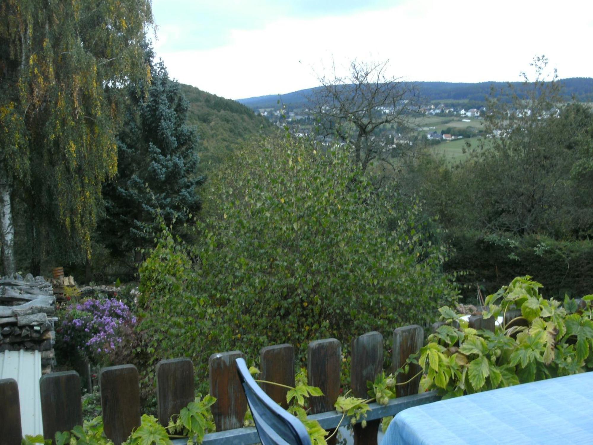 Charming Apartment In Morbach Germany With Terrace Thalfang Exteriör bild